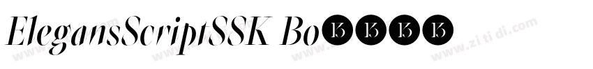 ElegansScriptSSK Bo字体转换